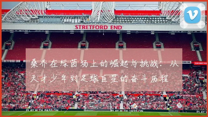 桑乔在绿茵场上的崛起与挑战：从天才少年到足球巨星的奋斗历程